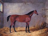 The Duke Of Grafton's Bolivar In A Stable by John Frederick Herring, Jnr